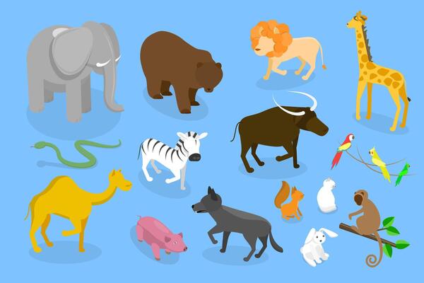 3D Isometric Flat Set of Zoo Animals, WildLife Collection