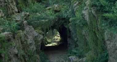 CGI Mysterious cave entrance surrounded by lush greenery in a serene forest video