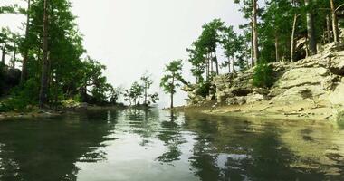 CGI Serene riverside landscape featuring lush greenery and calm waters video