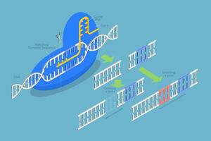 3D Isometric Flat Conceptual Illustration of CRISPR, Artificial Genome Editing vector