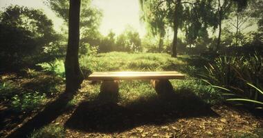 CGI Relaxing spot under trees with sunlight filtering through foliage video