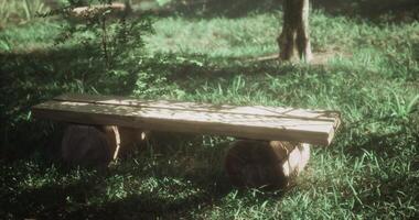 CGI Wooden bench in a serene garden setting surrounded by grass and trees video