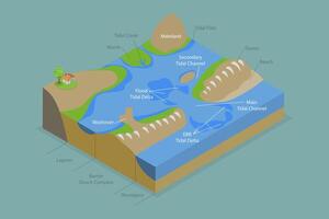3D Isometric Flat Conceptual Illustration of Barrier Island System, Educational Diagram vector
