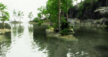 CGI Serene lake view with lush greenery reflecting on calm waters video