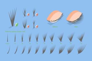 3D Isometric Flat Conceptual Illustration of Eyelash Extension, Volume Boost Guide vector