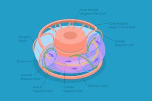 Illustration of magnetic field coils and plasma vector