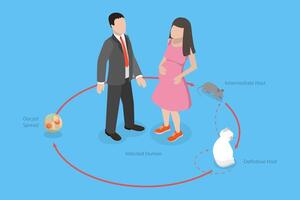 Toxoplasmosis transmission cycle illustration vector