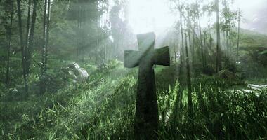 CGI Serenity in nature with a cross amidst lush greenery and soft sunlight video
