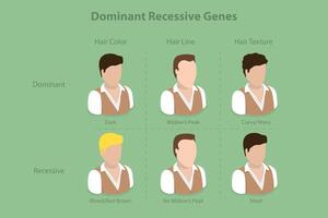 3D Isometric Flat Conceptual Illustration of Dominant Recessive Genes, Educational Explanation vector