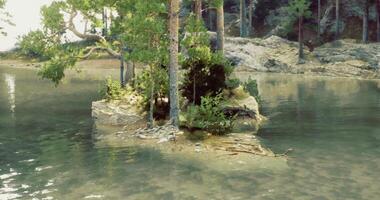 CGI Tranquil island with lush trees in serene lake surrounded by nature video