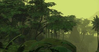 CGI Misty forest landscape at dawn with lush green vegetation video