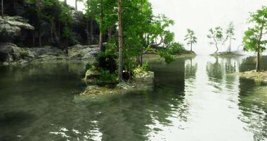 CGI Tranquil water landscape with greenery and reflections at dawn video
