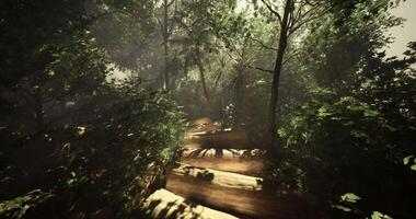 CGI Lush forest path winding through vibrant greenery and dappled sunlight video