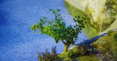 CGI Small tree thrives by the tranquil blue waterside in a lush environment video