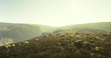 CGI Lush green landscape under bright sunlight in a serene mountainous area video