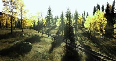 CGI Bright autumn day with sun shining through trees beside a railway track video