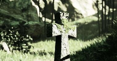 CGI Stone cross covered in moss amidst greenery in a serene forest setting video