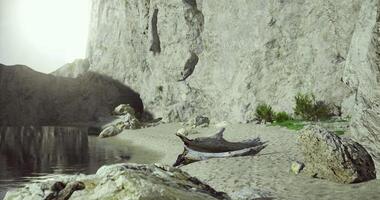 CGI Serene coastal landscape with rocky cliffs and gentle waves during daytime video