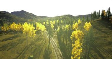 CGI Vibrant autumn foliage along a winding dirt path in a mountainous landscape video