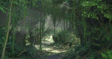 CGI Lush green forest pathway surrounded by dense vegetation and mist video