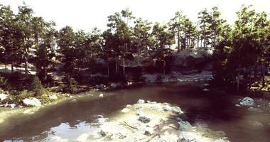 CGI Serenity of a tranquil forest pond surrounded by lush trees in daylight video