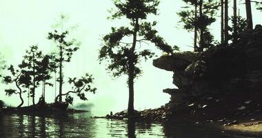 CGI Serene lakeside view with trees and rocky shoreline during twilight hours video
