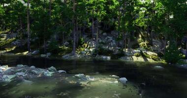 CGI Tranquil forest with a serene pond and rocks in bright sunlight video