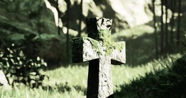 CGI Moss covered stone cross in a serene forest during bright daylight hours video