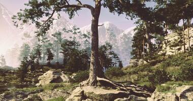 CGI Vibrant tree stands tall amidst mountains and lush greenery in the afternoon video