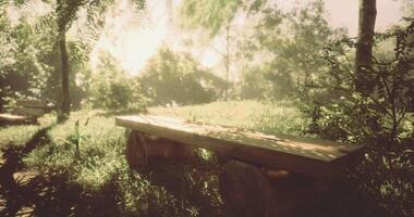 CGI Serene wooden bench in a tranquil garden bathed in soft sunlight video