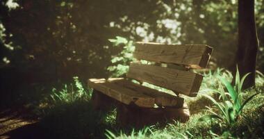 CGI Wooden bench surrounded by lush greenery in a tranquil park setting video