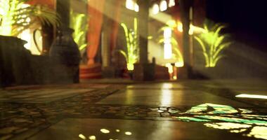 CGI Sunlight streams through a colorful interior filled with lush plants video