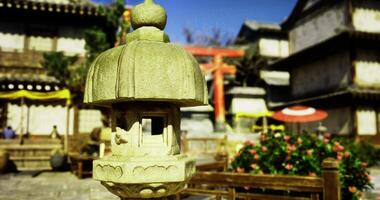 CGI Exploring a tranquil garden with traditional architecture and natural beauty video