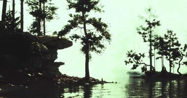CGI Natural landscape at lakeside with silhouette of trees during misty morning video