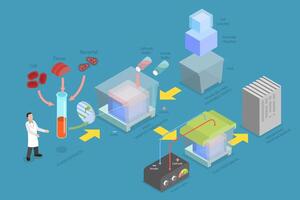 3D Isometric Flat Conceptual Illustration of Western Blot, Biochemical Analysis vector