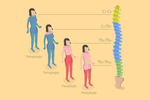 3D Isometric Flat Conceptual Illustration of Tetraplegia And Paraplegia , Neural Medical Disorder vector