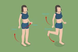 3D Isometric Flat Conceptual Illustration of Flexion And Extension, Human Body Movement vector