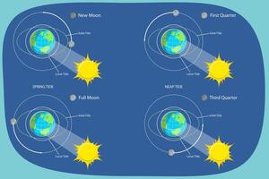 3D Isometric Flat Conceptual Illustration of Lunar And Solar Tides, Astronomy and Geography Science vector