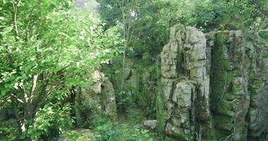 CGI Beautiful rocky landscape covered with greenery in a serene environment video