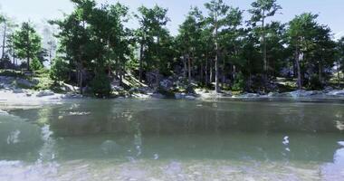 CGI Lush green forest landscape reflected in calm waters near a serene lake video