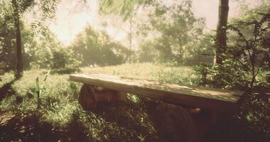CGI Relaxing afternoon light illuminating a wooden bench in a lush garden video