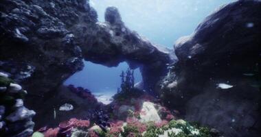 CGI Underwater exploration reveals a vibrant coral reef ecosystem in clear water video