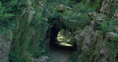 CGI Natural cave entrance surrounded by lush greenery in a secluded forest video