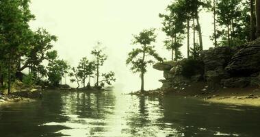 CGI Serene river landscape with trees and rocky shore under soft light video