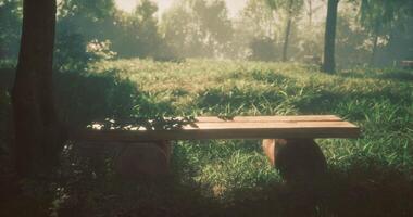 CGI Peaceful wooden bench under sunlight in a tranquil forest setting video