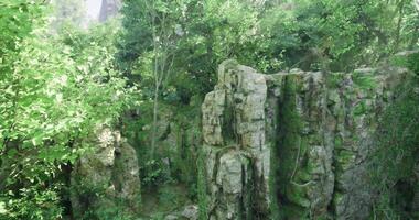 CGI Rock formations covered in moss surrounded by lush green foliage video