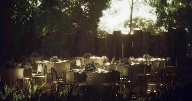 CGI Elegant outdoor dining setup in a serene forest location during golden hour video