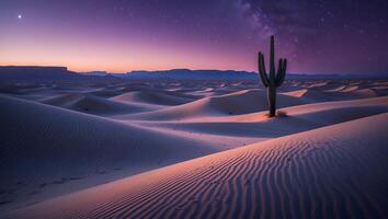Cactus Stands Tall in Desert Landscape Under Starry Night Sky photo