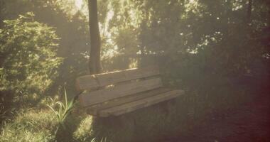 CGI Sunlight filters through trees illuminating an empty wooden bench in a park video