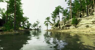 CGI Calm riverbank oasis with lush trees and serene waters during daytime video